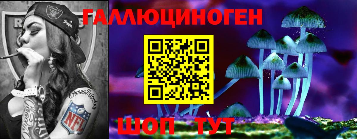Псилоцибиновые грибы MAGIC MUSHROOMS  Вход с VPN  Мытищи 