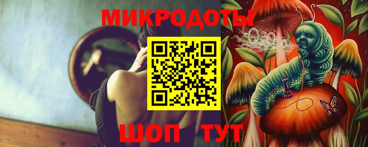 Псилоцибиновые грибы Psilocybe Мытищи